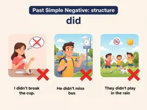Past Simple en negativo: estructura correcta con did