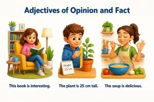 Adjetivos de opinión y de hecho en inglés